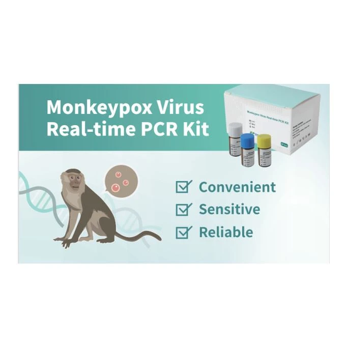 Monkeypox Rapid Nucleic Acid Detection Kit PCR-test
